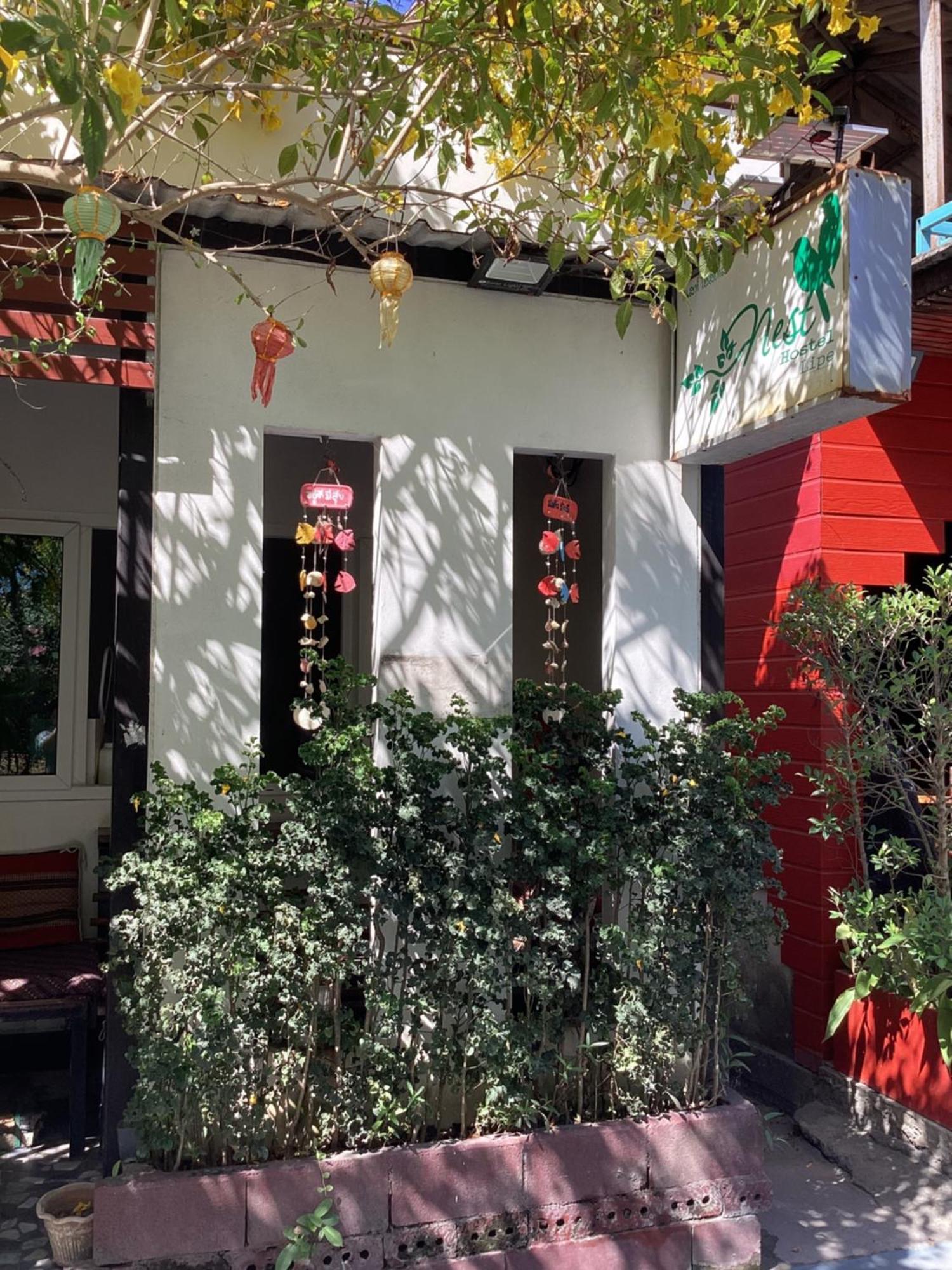Nest hostel lipe Buitenkant foto