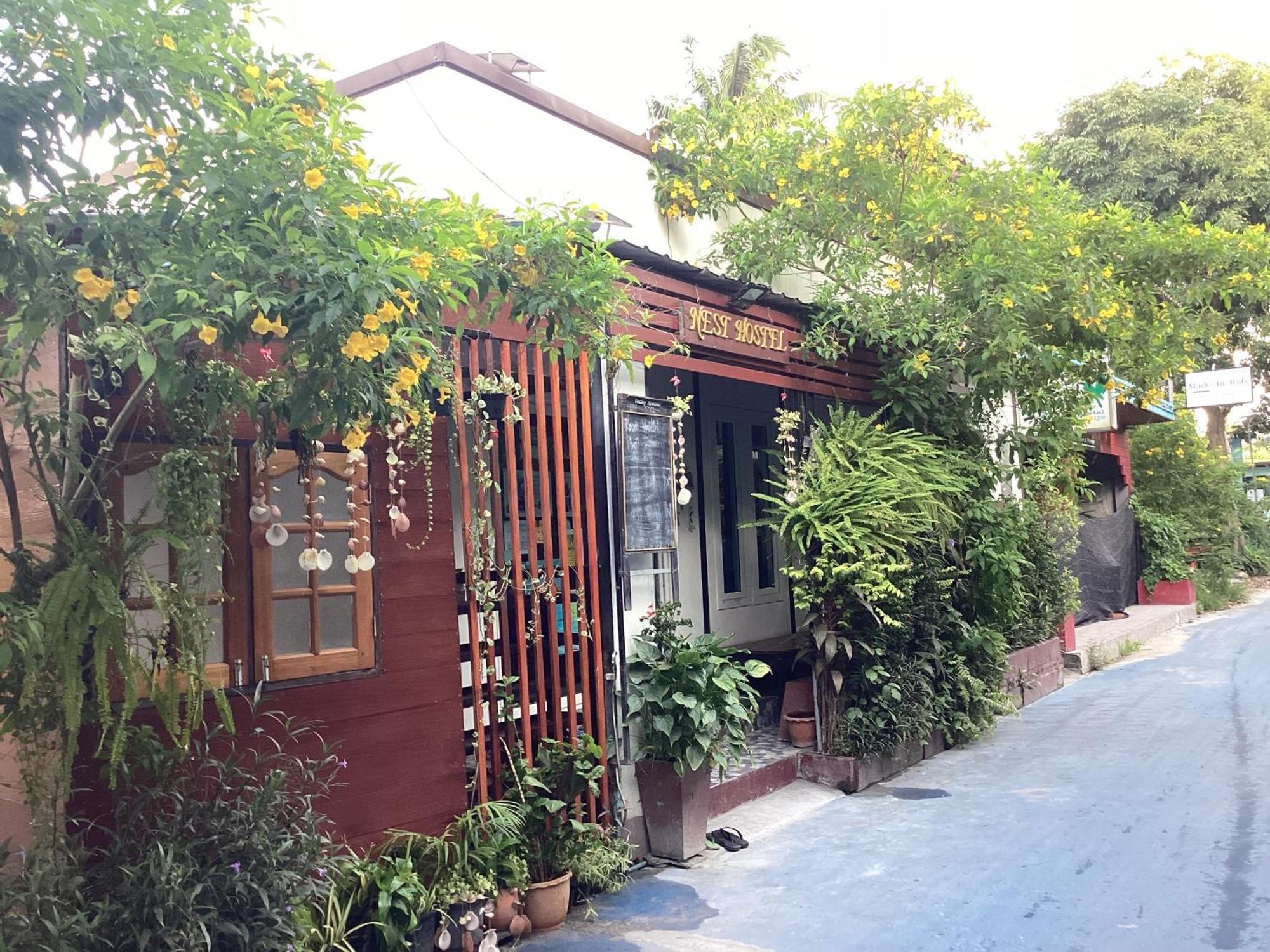 Nest hostel lipe Buitenkant foto