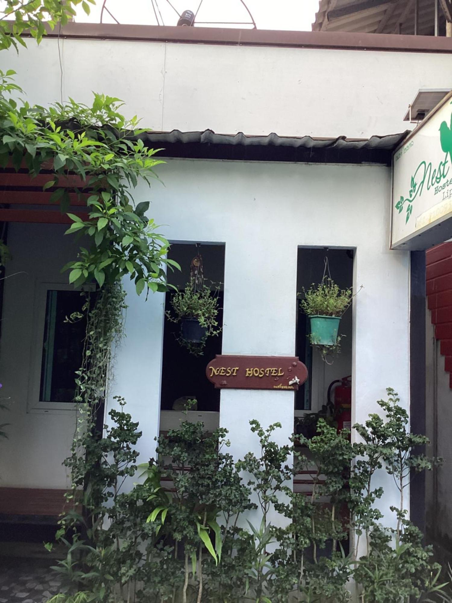 Nest hostel lipe Buitenkant foto