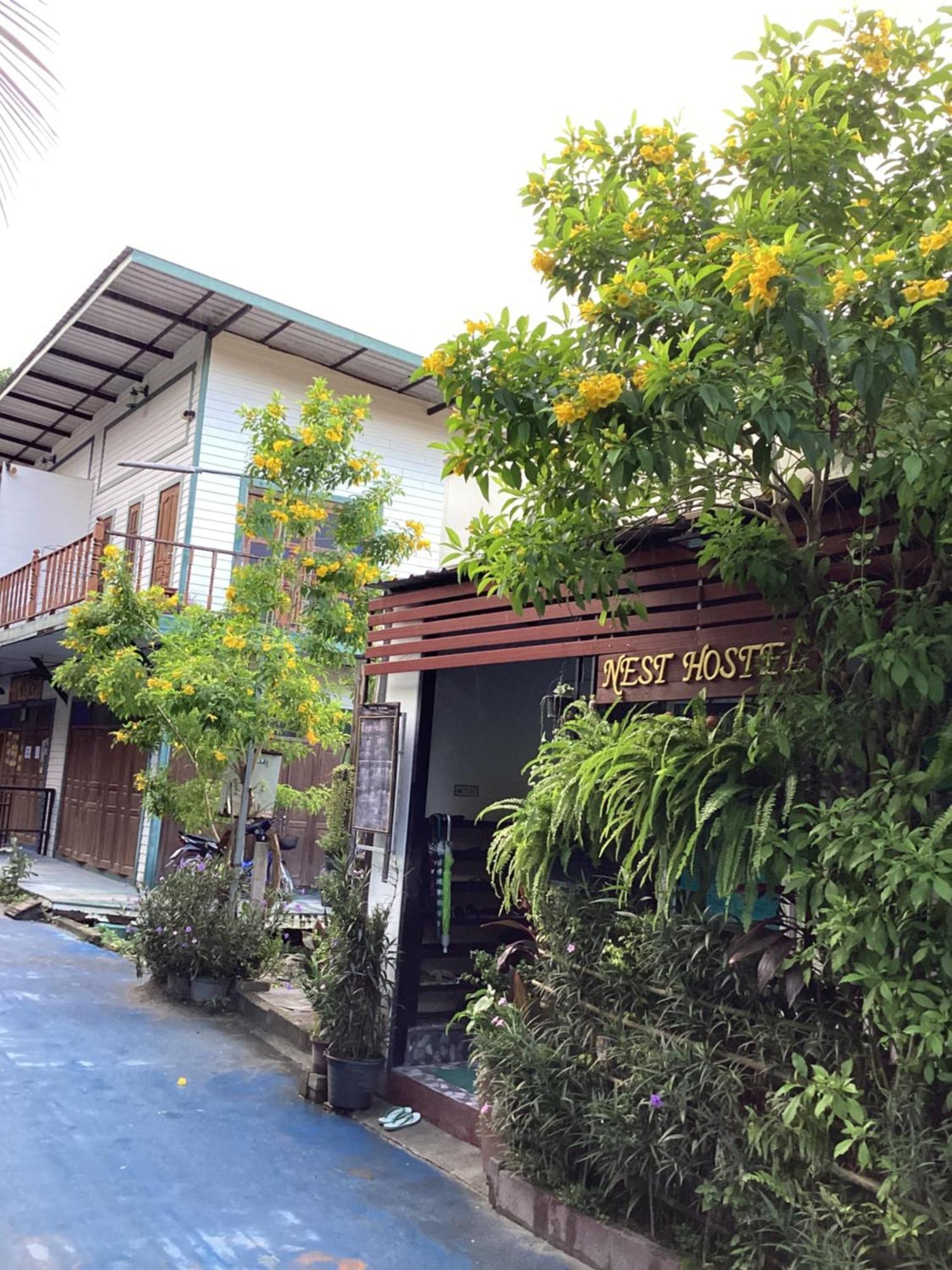 Nest hostel lipe Buitenkant foto