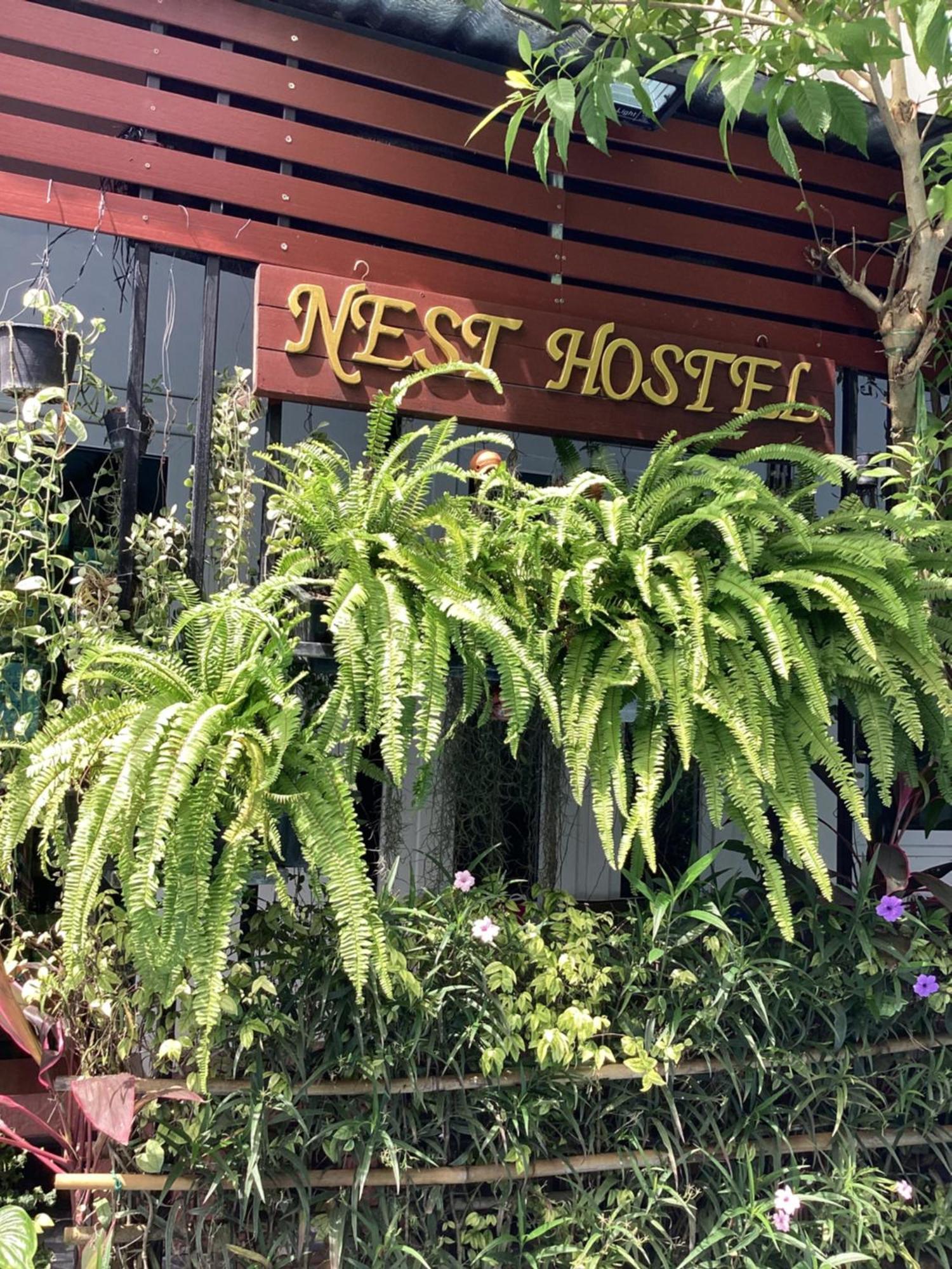 Nest hostel lipe Buitenkant foto
